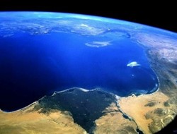 «Υπό πολιορκία» η Μεσόγειος: Χάνονται τα ψάρια της